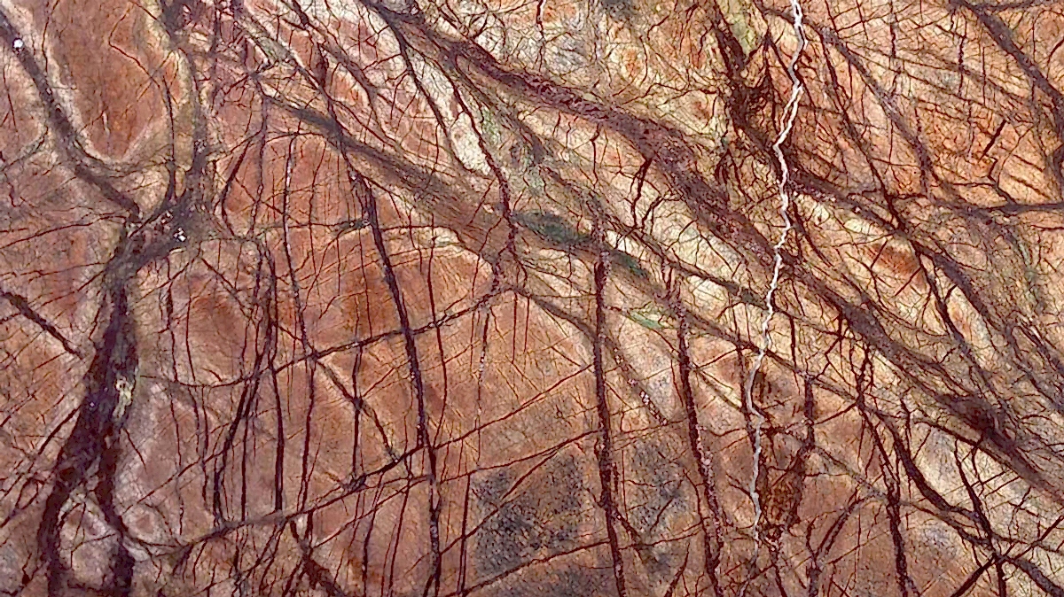 Rain Forest Brown Mermer