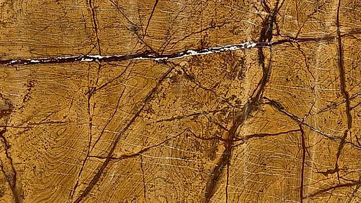 Rain Forest Gold Mermer